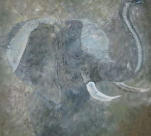 Olifant. 80cm x 80cm. Olieverf gemengd met zand op linnen.