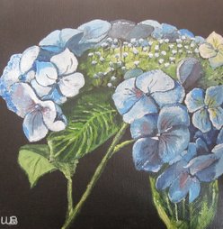 Hortensia Olie op linnen 20cm x 20cm