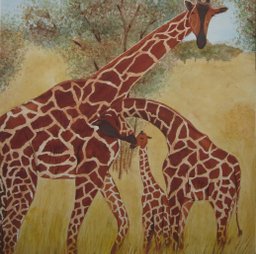 Giraffen. Aquarel