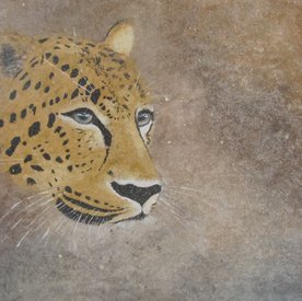 Jaguar Olie gemend met zand op linnen. 60cm x 60cm